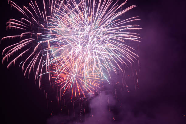 Coimbatore Family Cracker Combo Guide: Choose the Right Pack for Your Budget